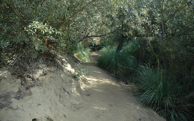DSC 0153