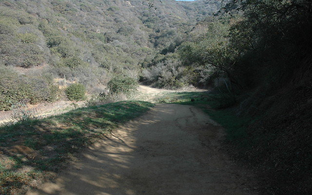 DSC 0028