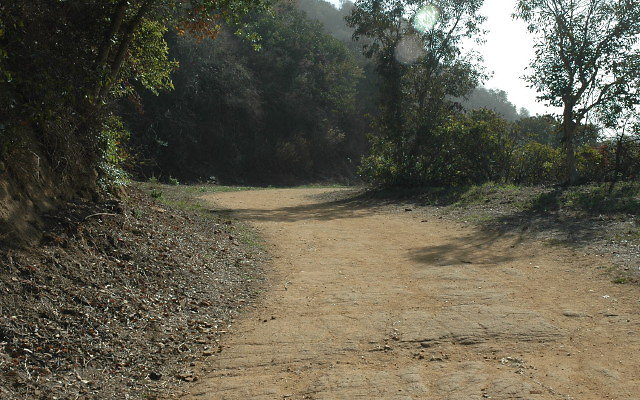 DSC 0029