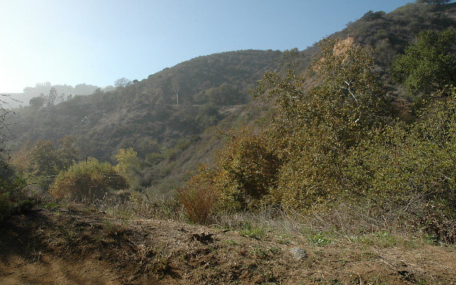 DSC 0013