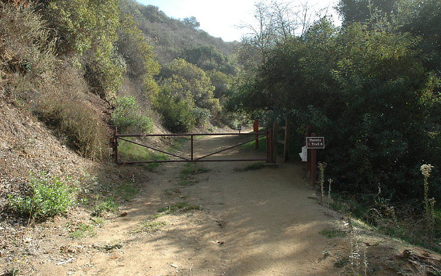 DSC 0003