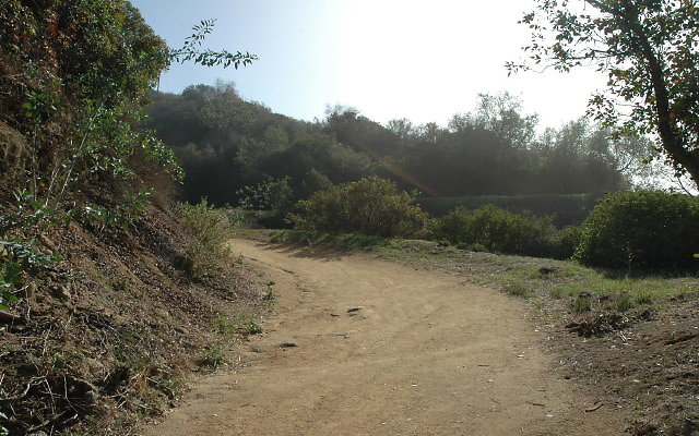 DSC 0018