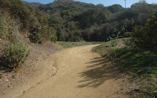 DSC 0021