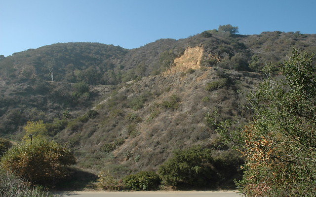 DSC 0020