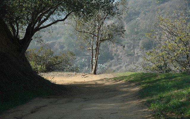 DSC 0025