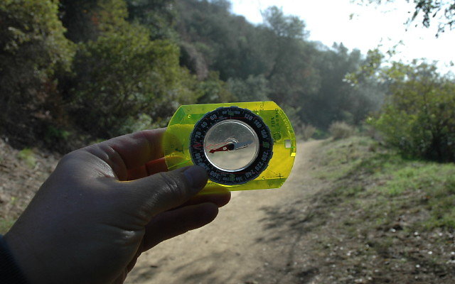 DSC 0010