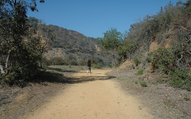 DSC 0032
