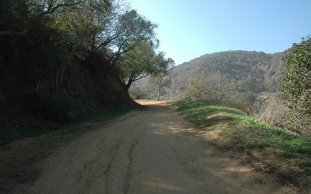 DSC 0024