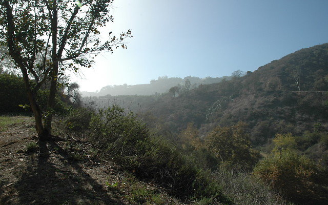 DSC 0019