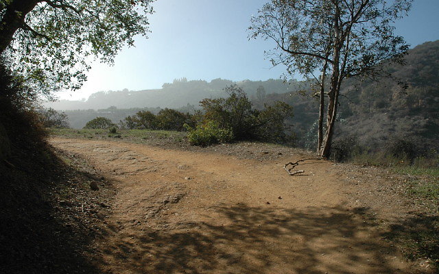 DSC 0027