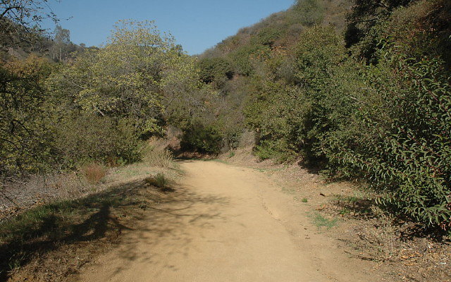 DSC 0015