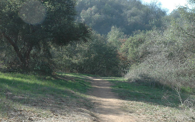 DSC 0116