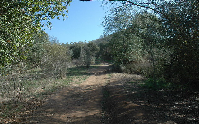 Loop East of Lake