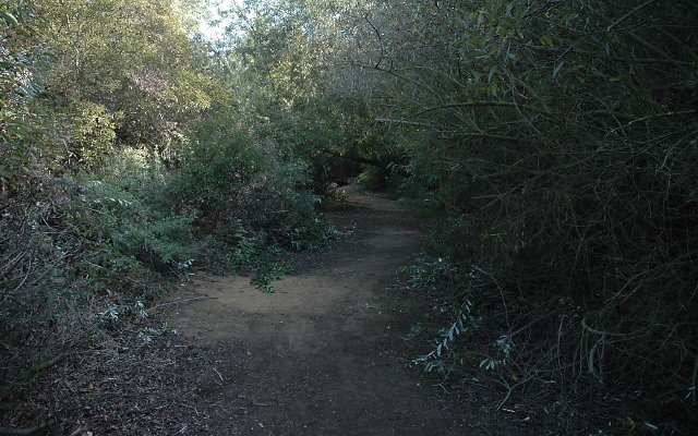 DSC 0132