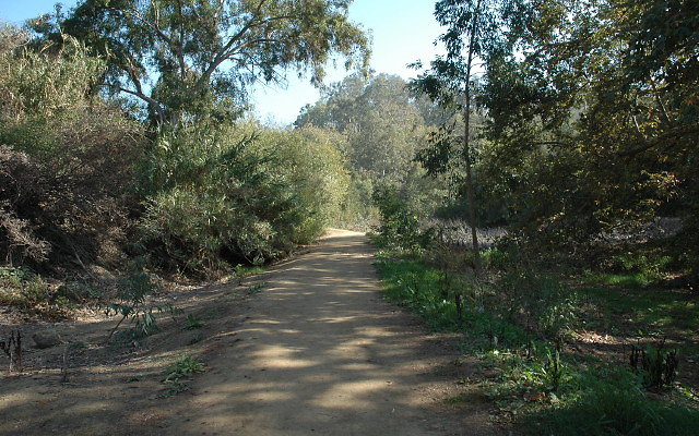 DSC 0145