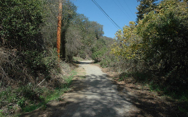 DSC 0037