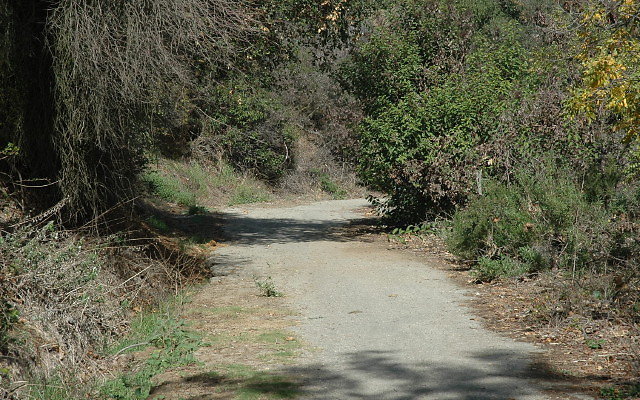 DSC 0038