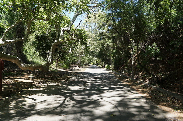 Lake.Rd.Franklin.06