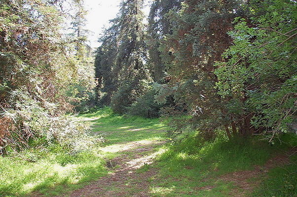 DSC 0059