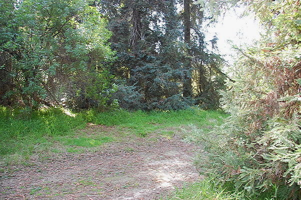 DSC 0050