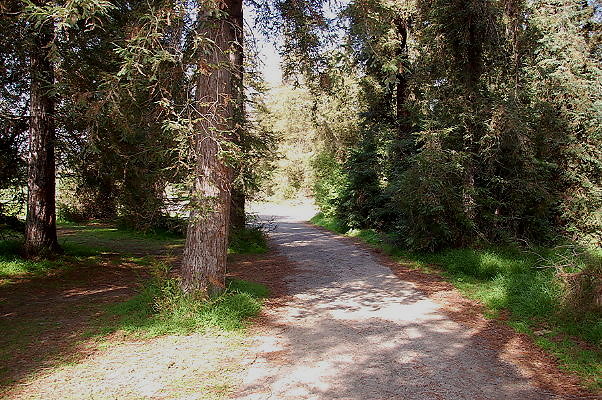 DSC 0001