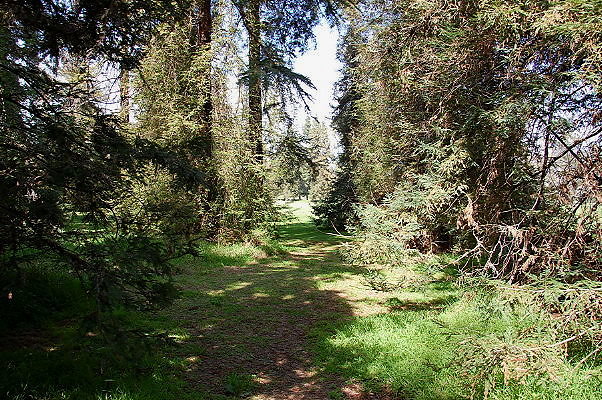 DSC 0047