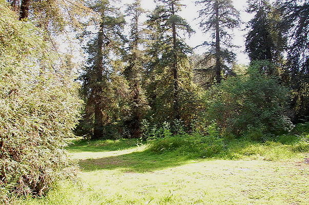 DSC 0043