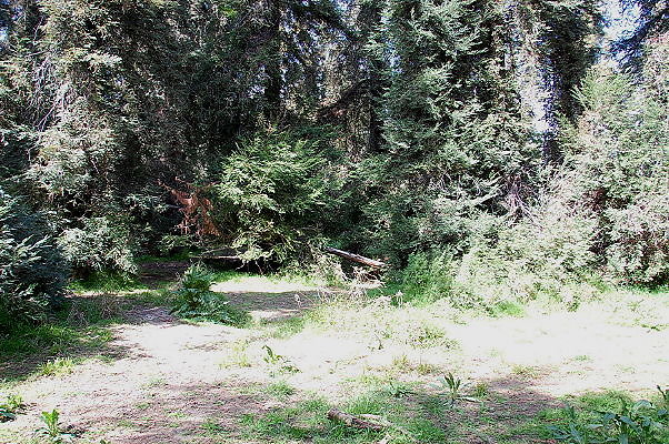 DSC 0027