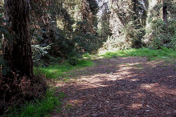 DSC 0015