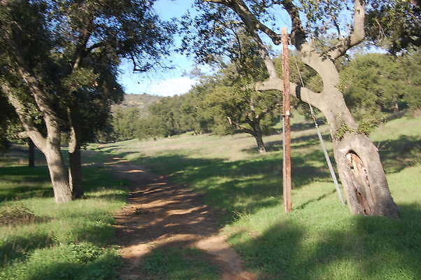 DSC 0002