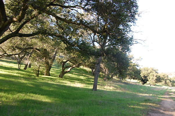 DSC 0007