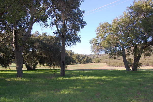 DSC 0927