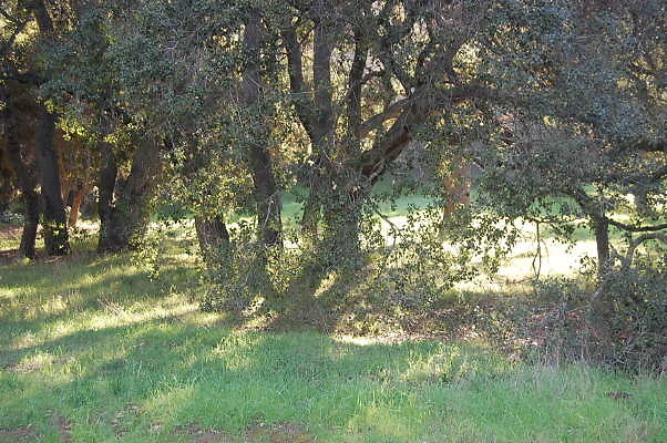 DSC 0898