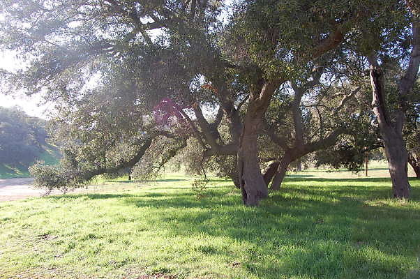 DSC 0926