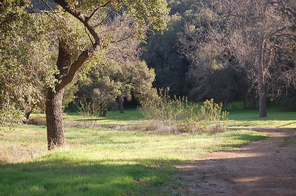 DSC 0910