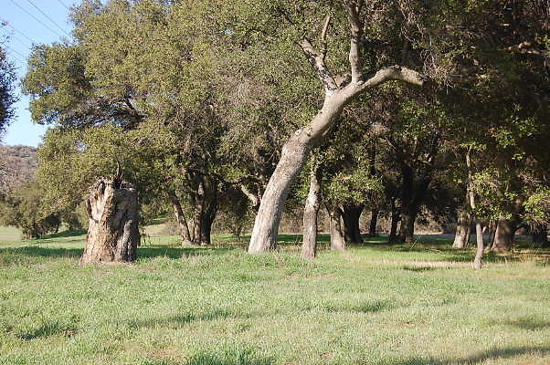 DSC 0918