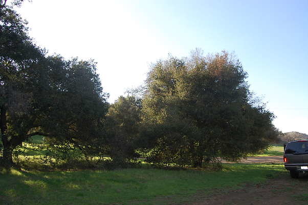 DSC 0901