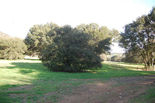 DSC 0891