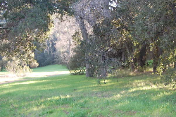 DSC 0896