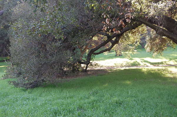 DSC 0886