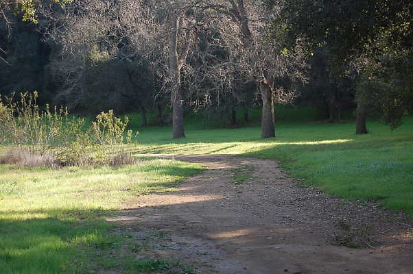 DSC 0902