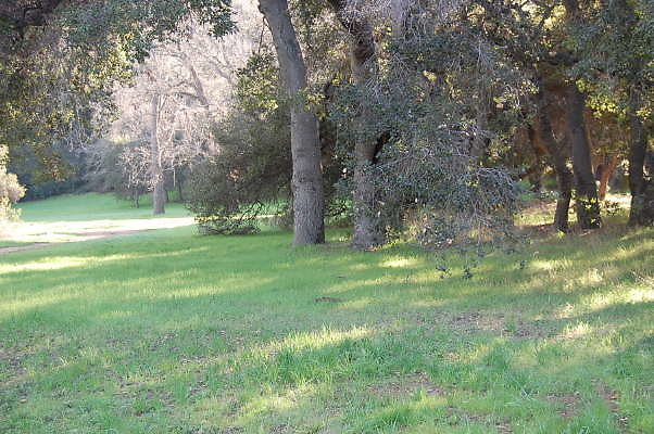 DSC 0897