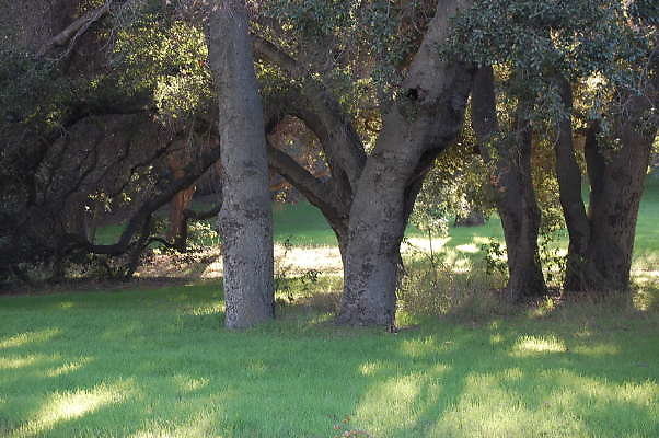 DSC 0904
