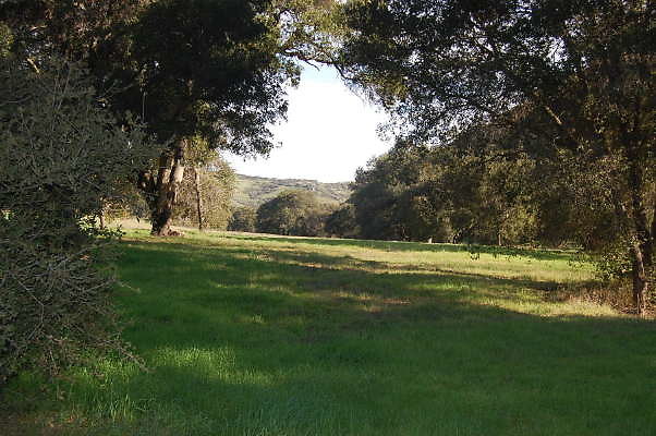 DSC 0908