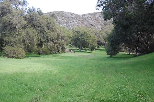 DSC 0742