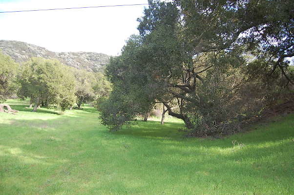 DSC 0748