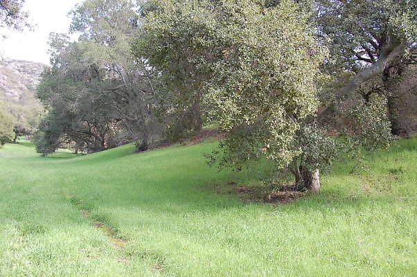 DSC 0738