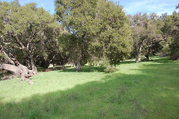 DSC 0750