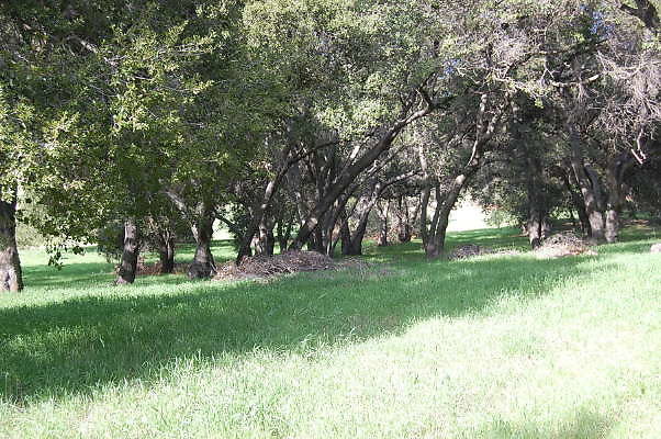 DSC 0760