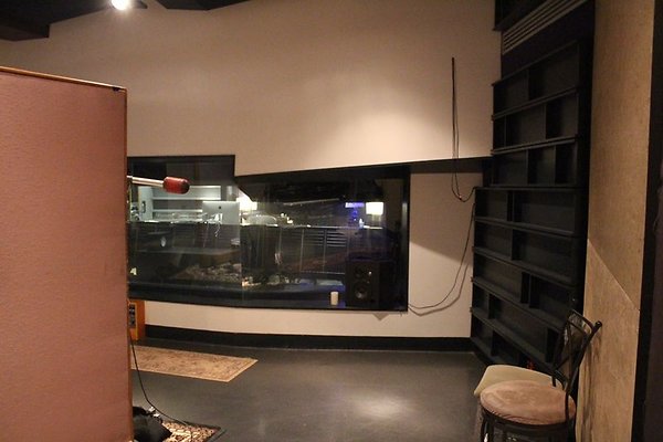 Record.Plant.SSL.3.24